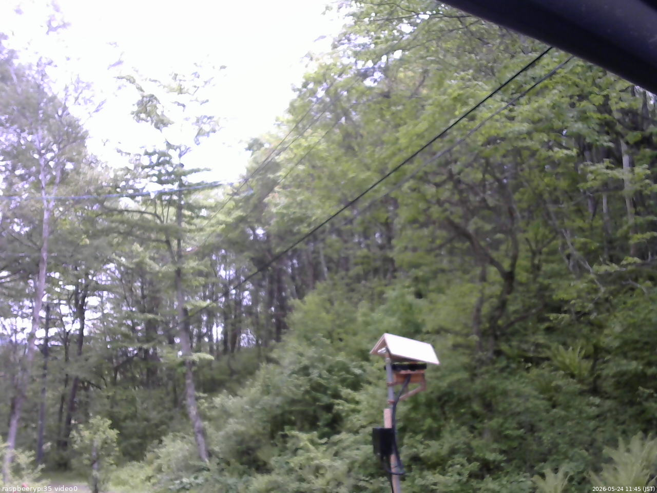 長野県菅平高原 ゆたか山荘 温度計 2026/05/24 11:45