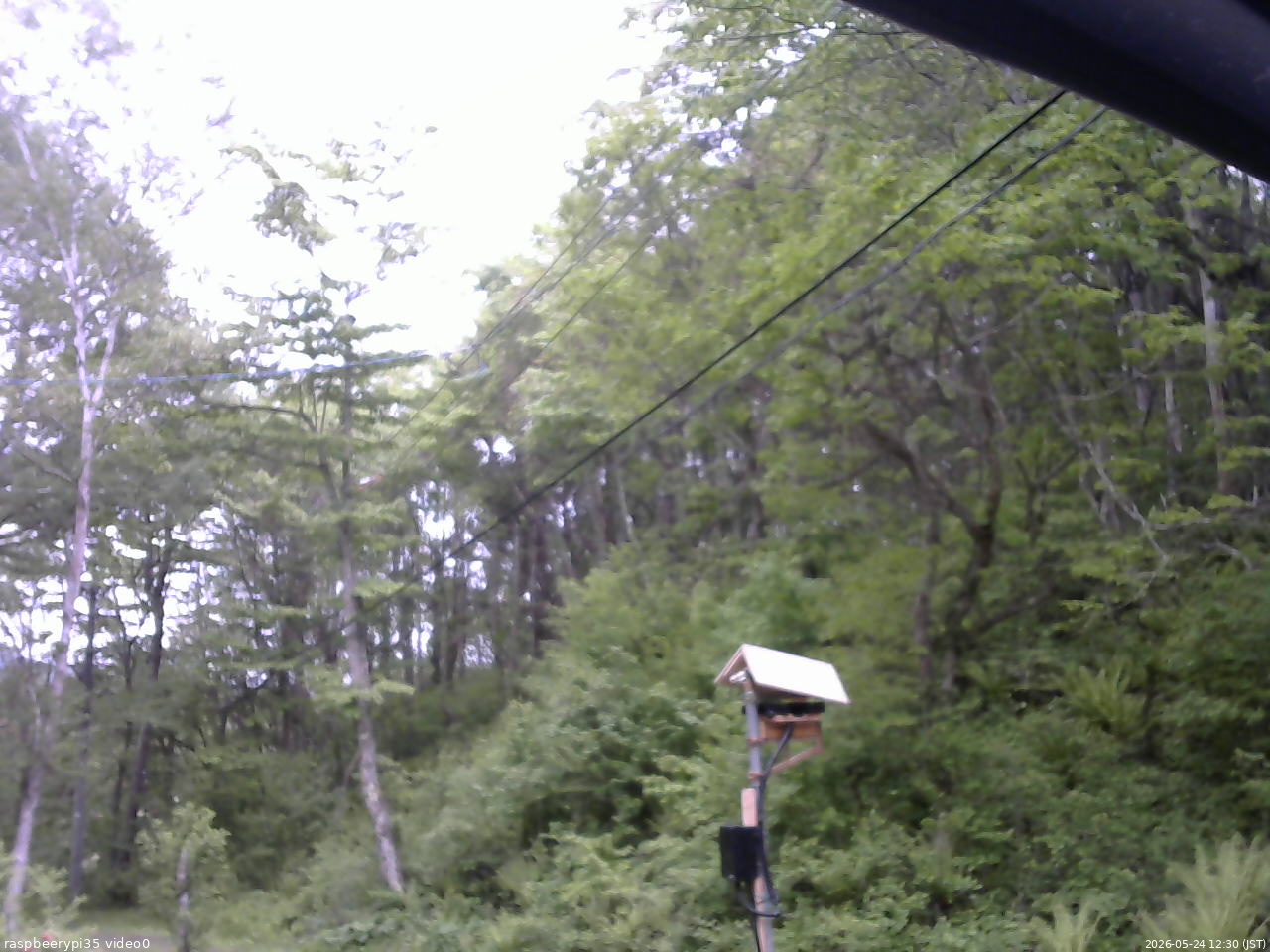 長野県菅平高原 ゆたか山荘 温度計 2026/05/24 12:30