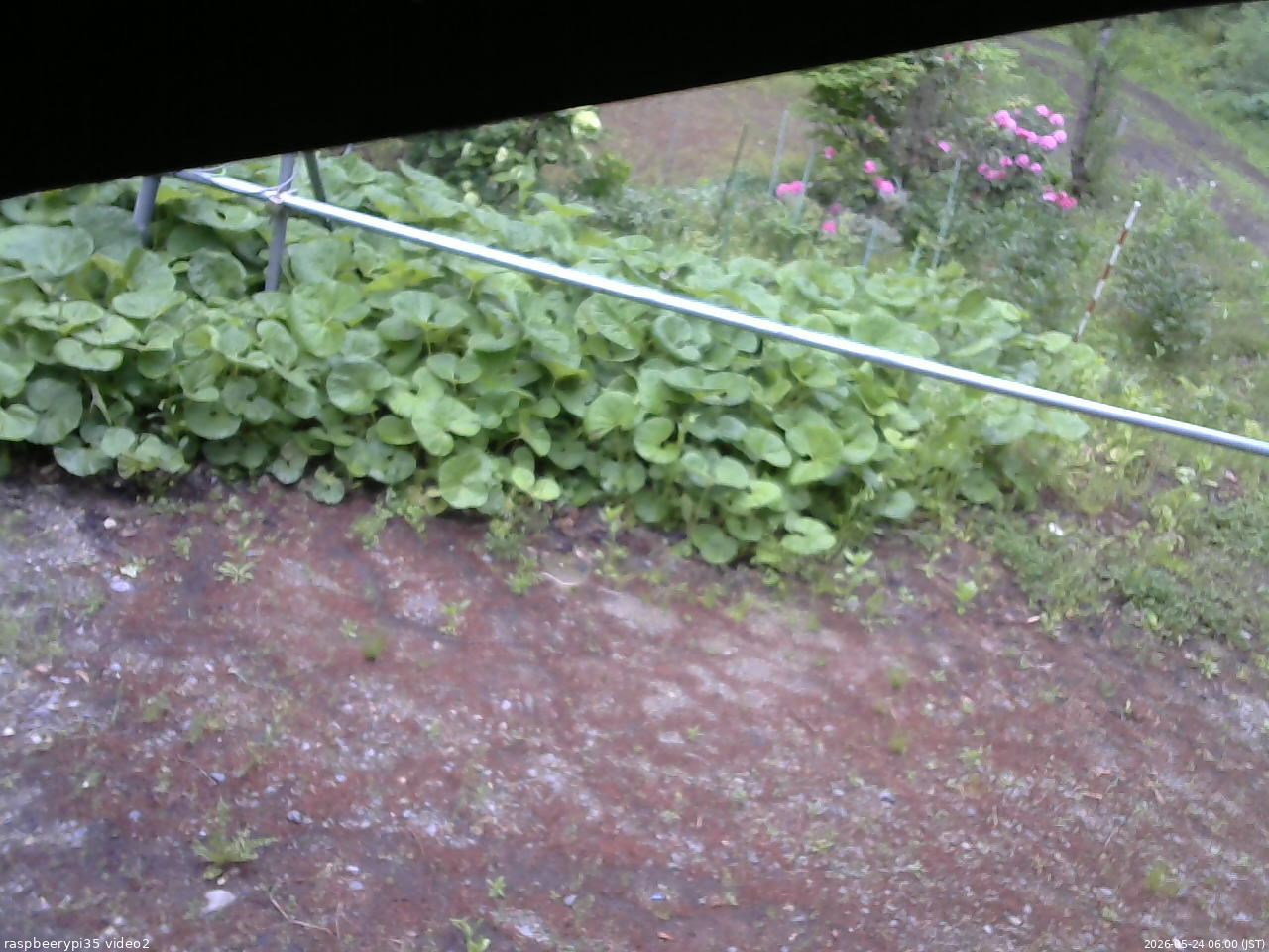 長野県菅平高原 ゆたか山荘 駐車場 2026/05/24 06:00