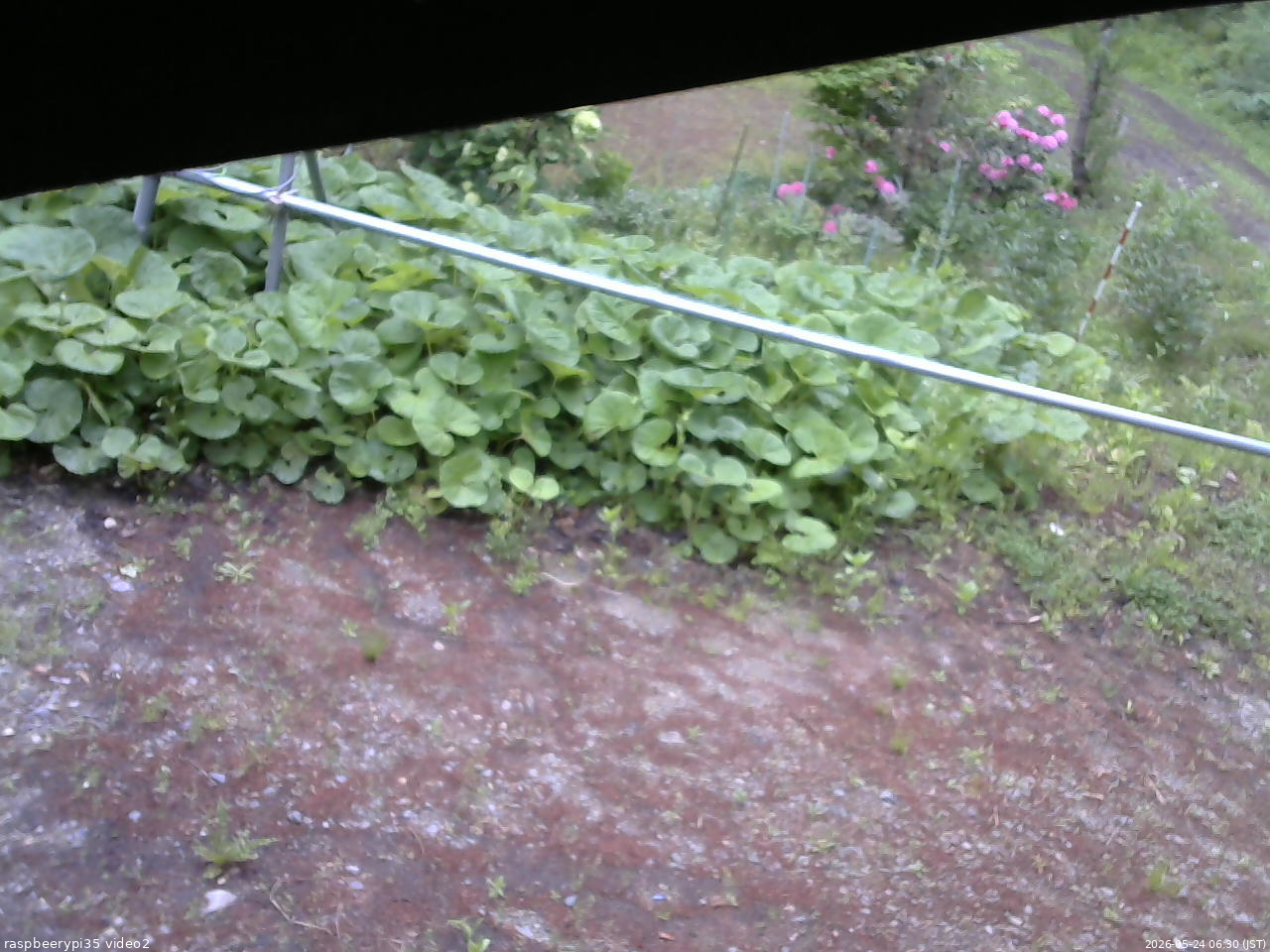 長野県菅平高原 ゆたか山荘 駐車場 2026/05/24 06:30
