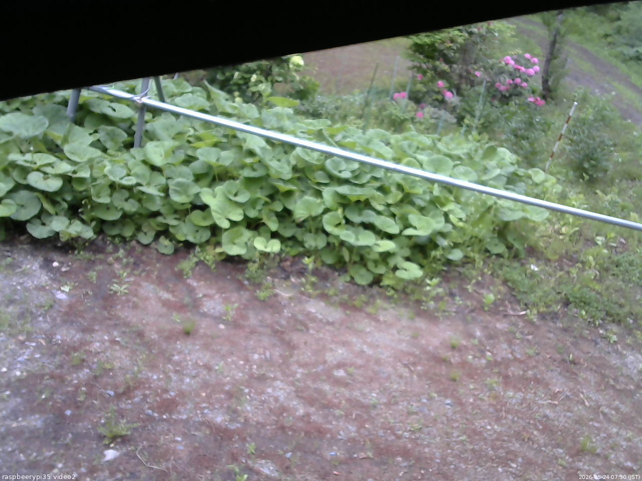 長野県菅平高原 ゆたか山荘 駐車場 2026/05/24 07:30