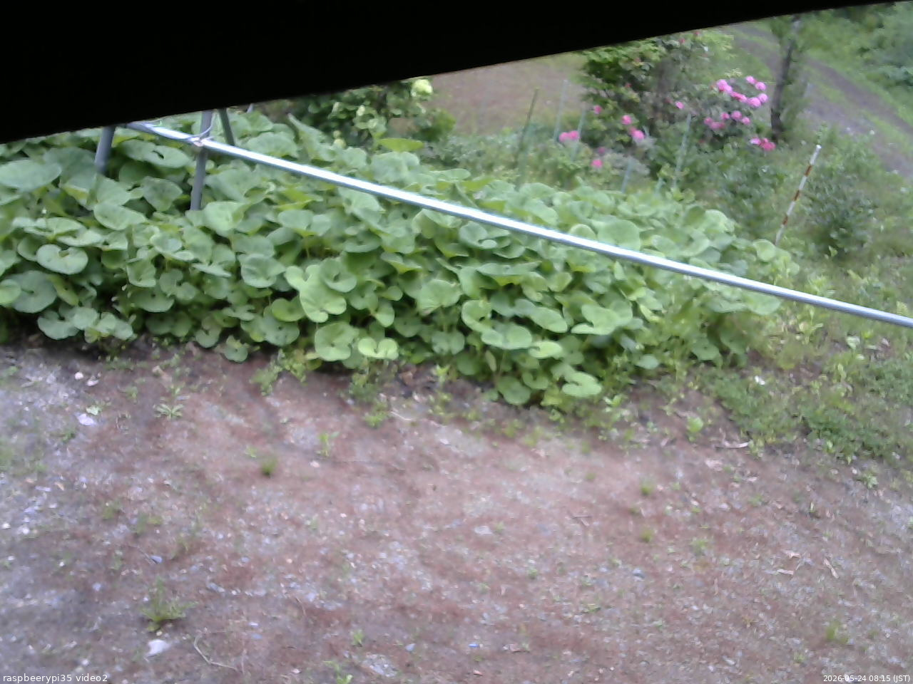 長野県菅平高原 ゆたか山荘 駐車場 2026/05/24 08:15