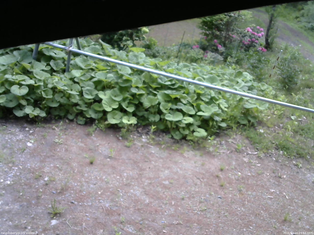 長野県菅平高原 ゆたか山荘 駐車場 2026/05/24 09:15