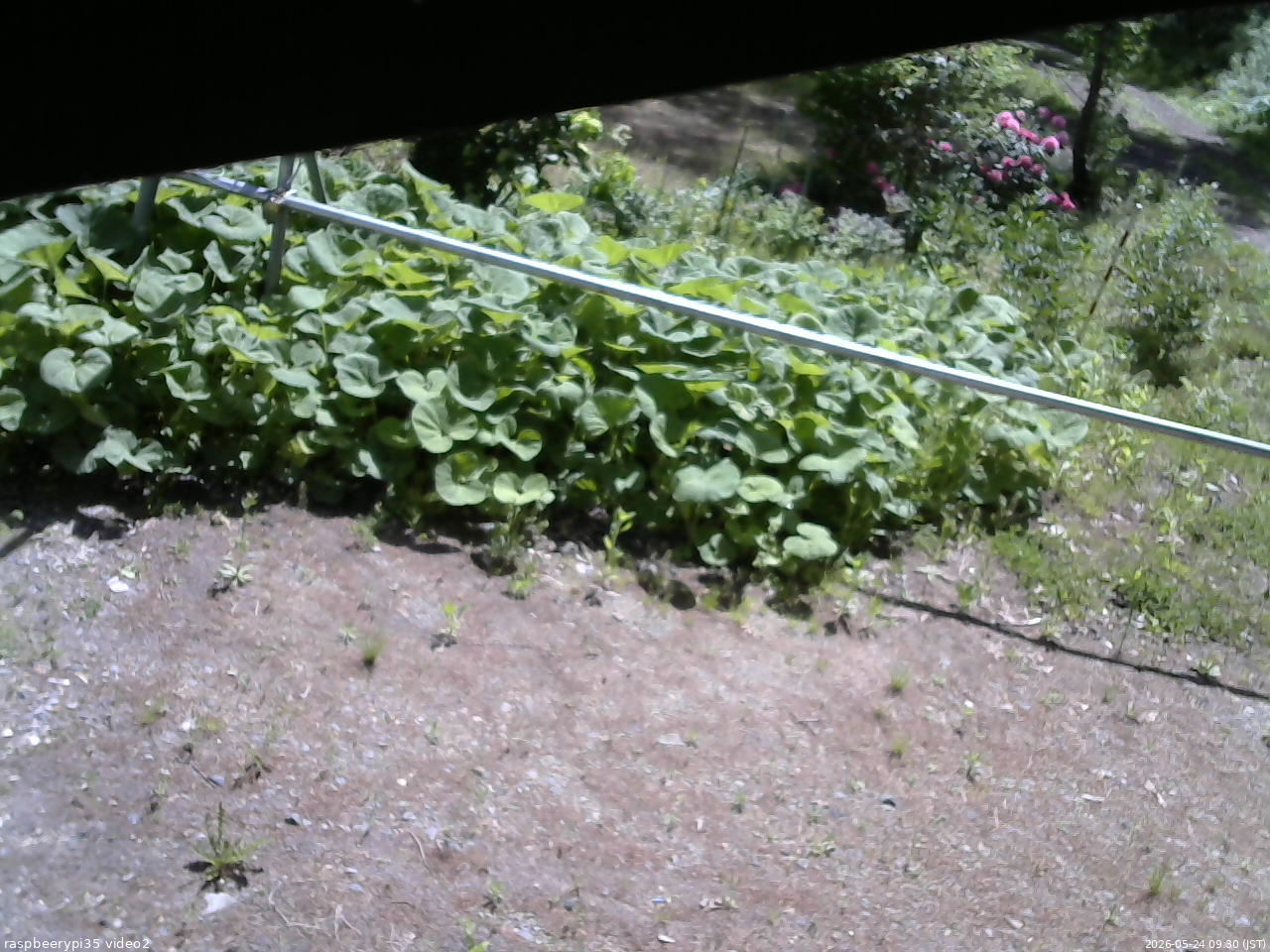 長野県菅平高原 ゆたか山荘 駐車場 2026/05/24 09:30