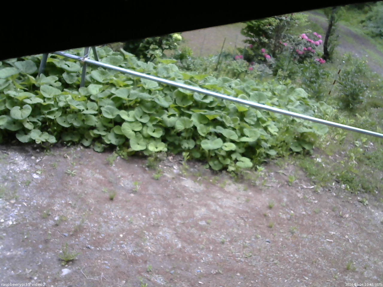 長野県菅平高原 ゆたか山荘 駐車場 2026/05/24 10:45