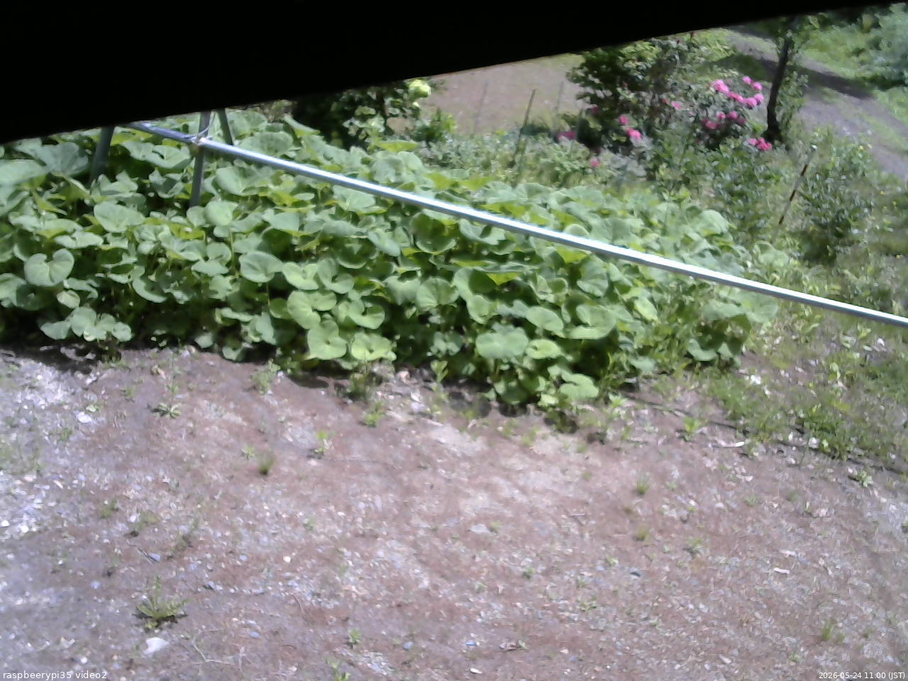 長野県菅平高原 ゆたか山荘 駐車場 2026/05/24 11:00