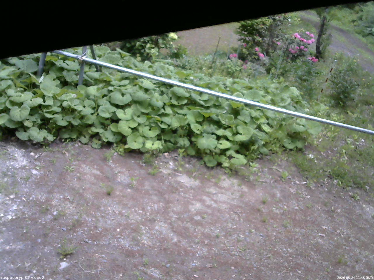 長野県菅平高原 ゆたか山荘 駐車場 2026/05/24 11:45
