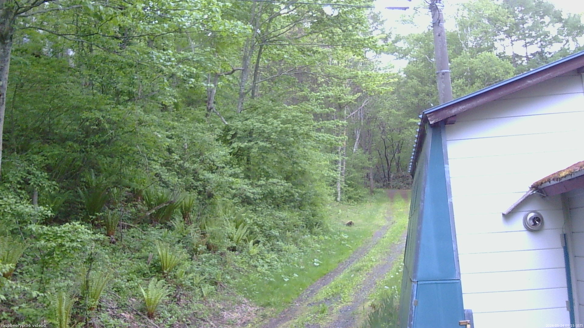 長野県菅平高原 ゆたか山荘 ゆたか山荘 2026/05/24 05:15