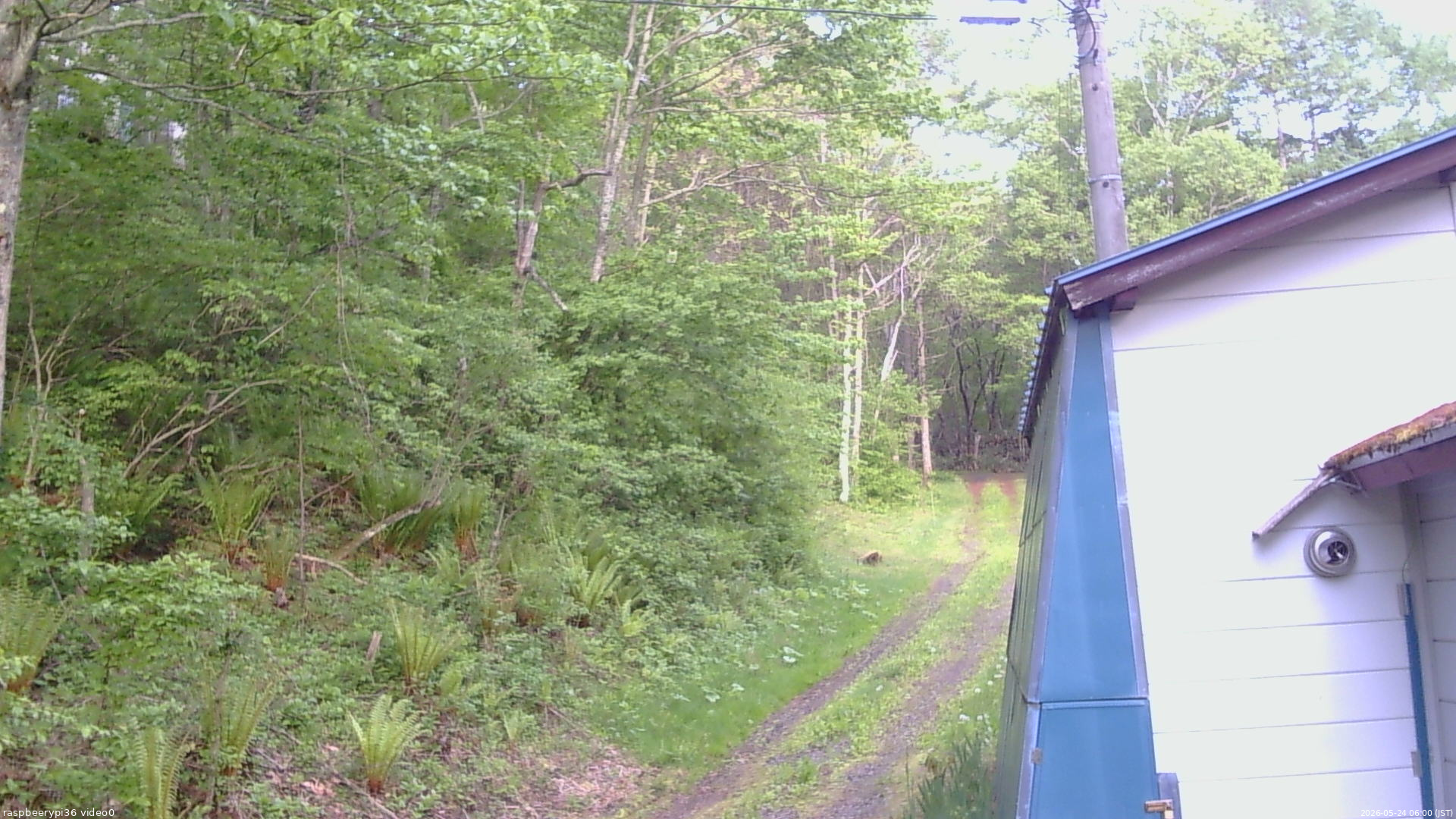 長野県菅平高原 ゆたか山荘 ゆたか山荘 2026/05/24 06:00