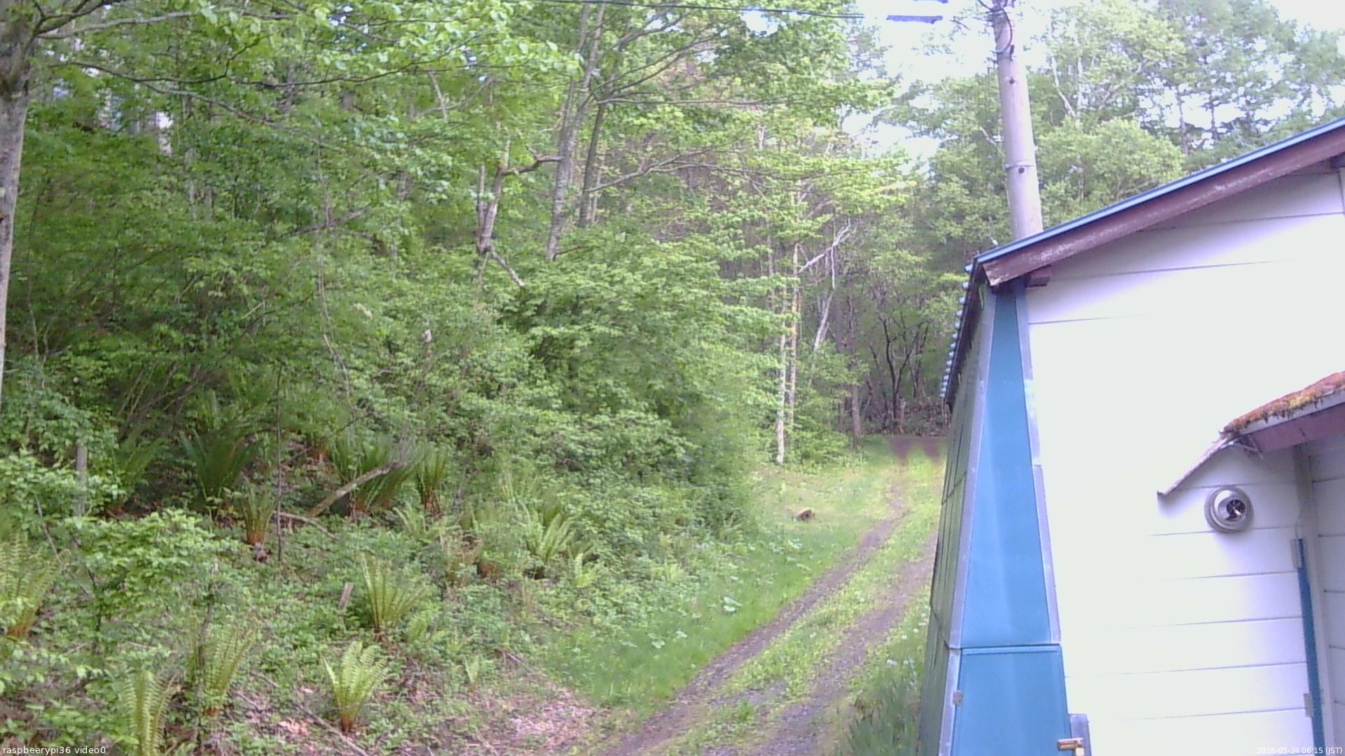 長野県菅平高原 ゆたか山荘 ゆたか山荘 2026/05/24 06:15