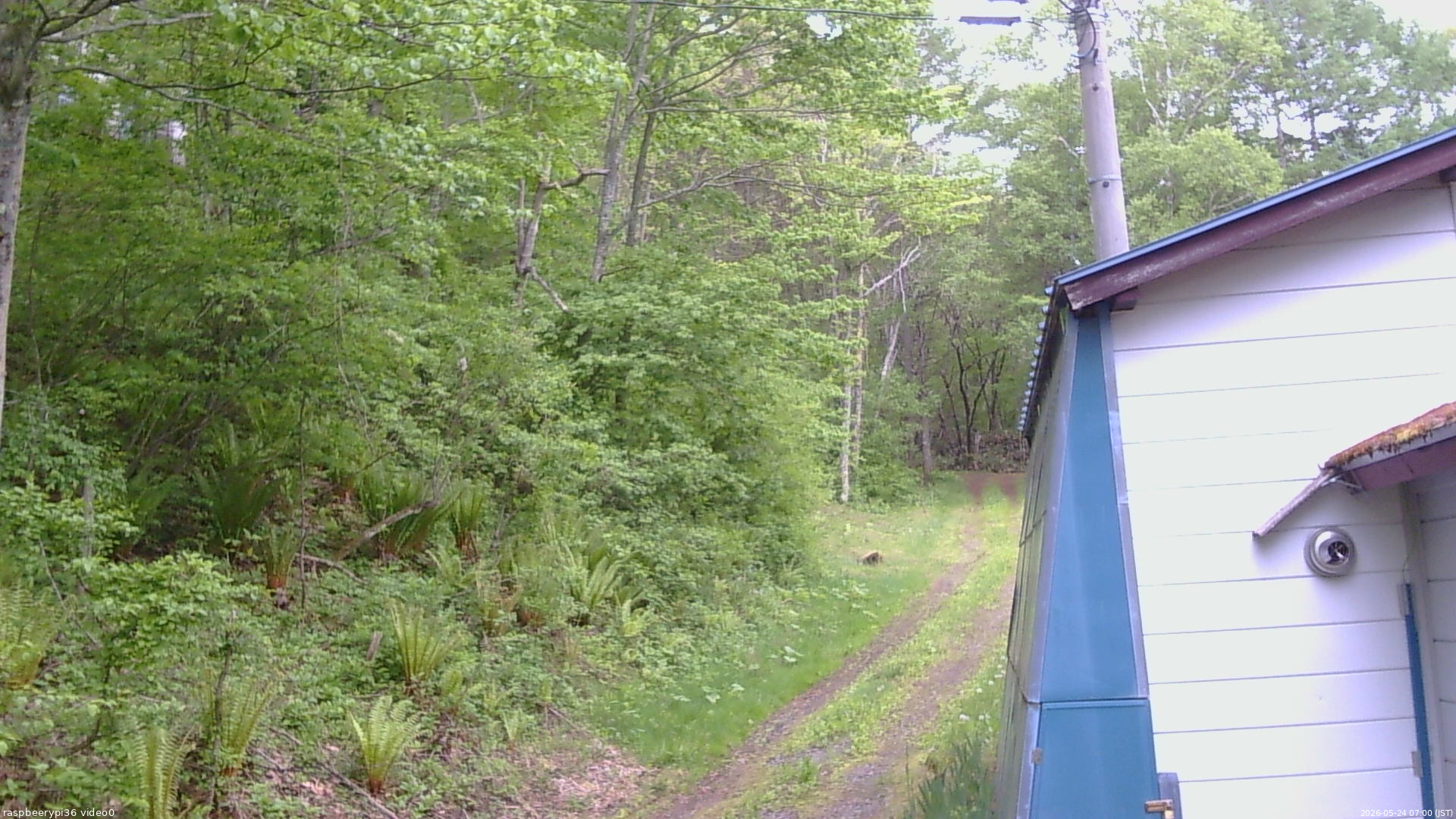 長野県菅平高原 ゆたか山荘 ゆたか山荘 2026/05/24 07:00