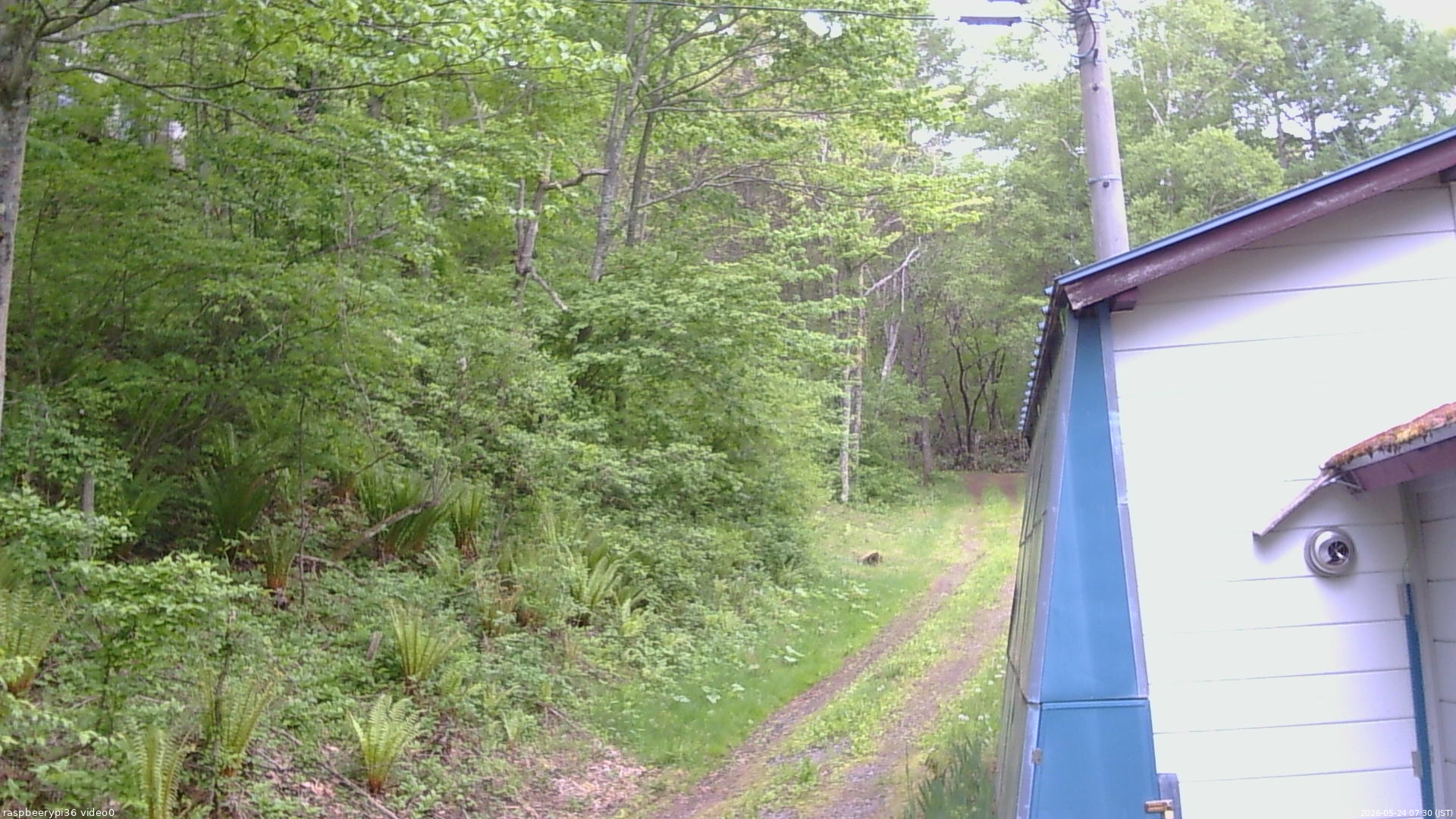 長野県菅平高原 ゆたか山荘 ゆたか山荘 2026/05/24 07:30
