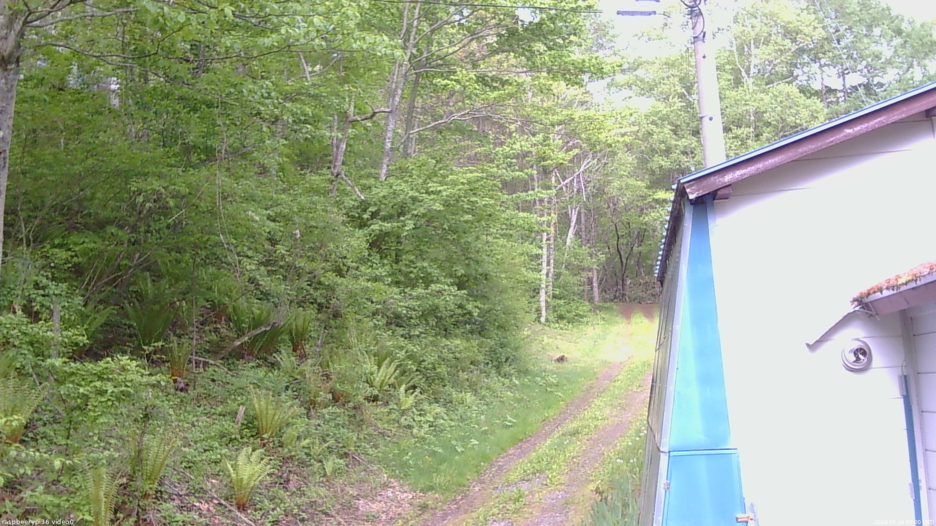 長野県菅平高原 ゆたか山荘 ゆたか山荘 2026/05/24 09:00
