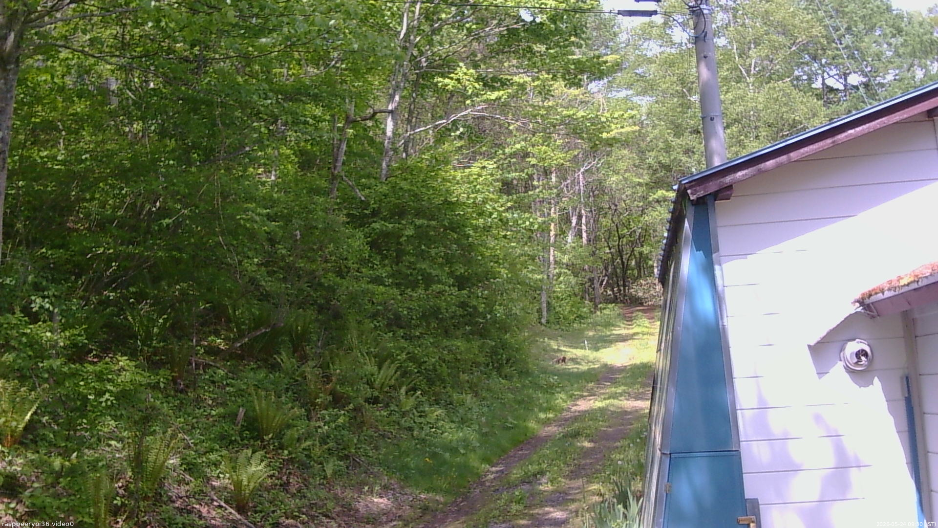 長野県菅平高原 ゆたか山荘 ゆたか山荘 2026/05/24 09:30
