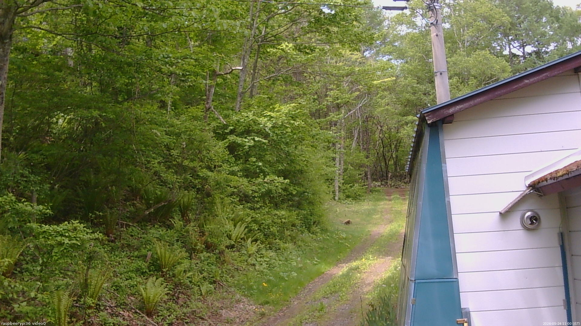 長野県菅平高原 ゆたか山荘 ゆたか山荘 2026/05/24 11:00