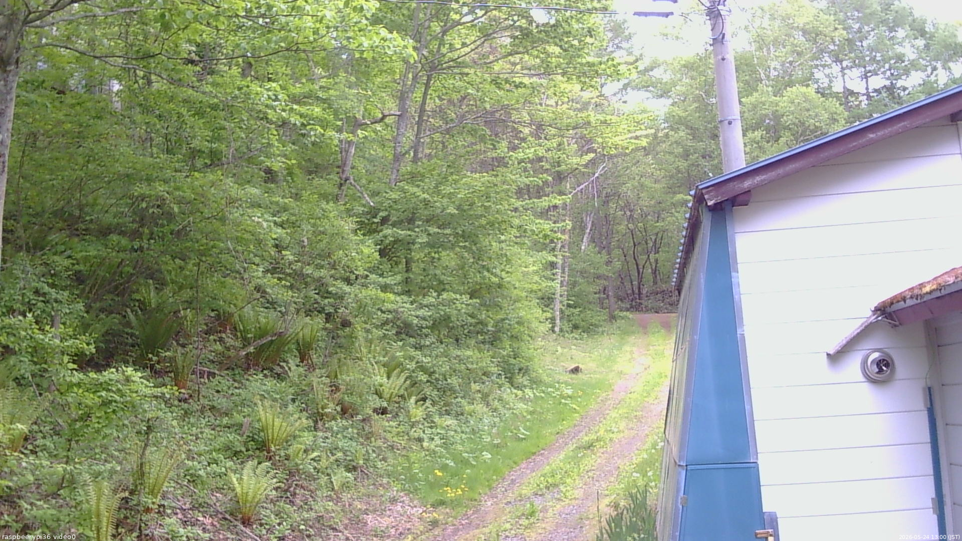 長野県菅平高原 ゆたか山荘 ゆたか山荘 2026/05/24 13:00