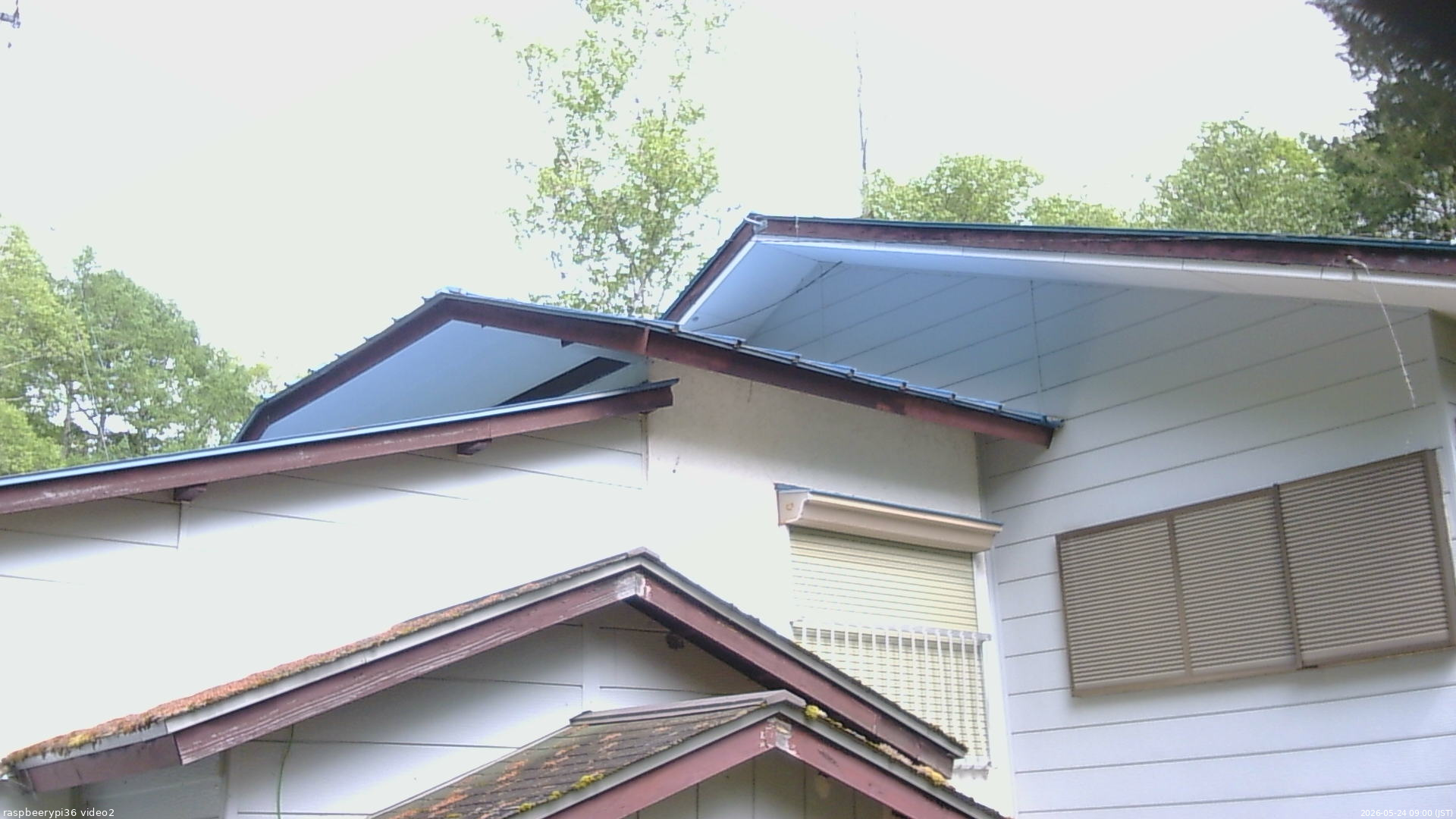 長野県菅平高原 ゆたか山荘 駐車場奥 2026/05/24 09:00