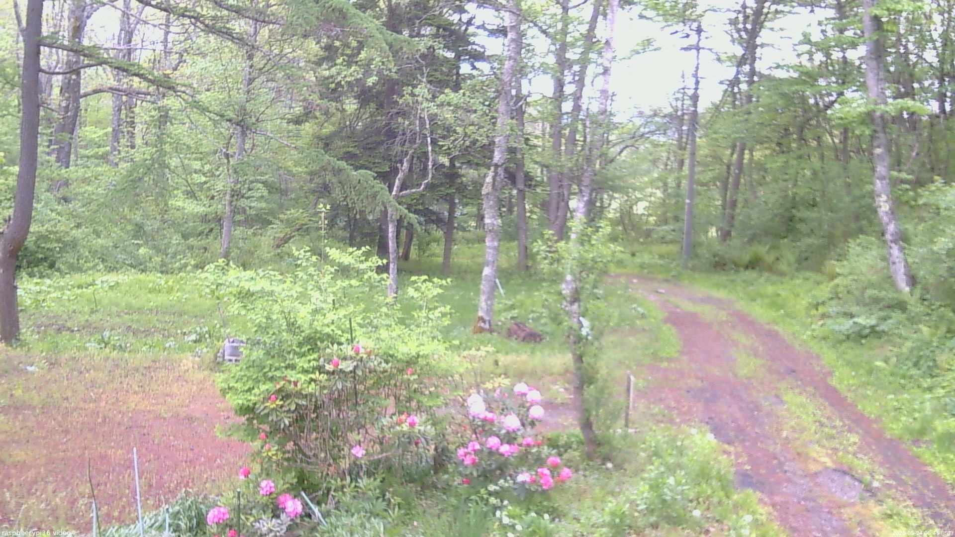 長野県菅平高原 ゆたか山荘 坂上 2026/05/24 05:45