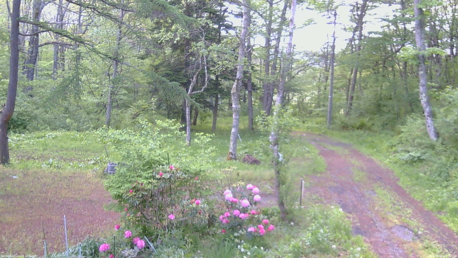 長野県菅平高原 ゆたか山荘 坂上 2026/05/24 06:15