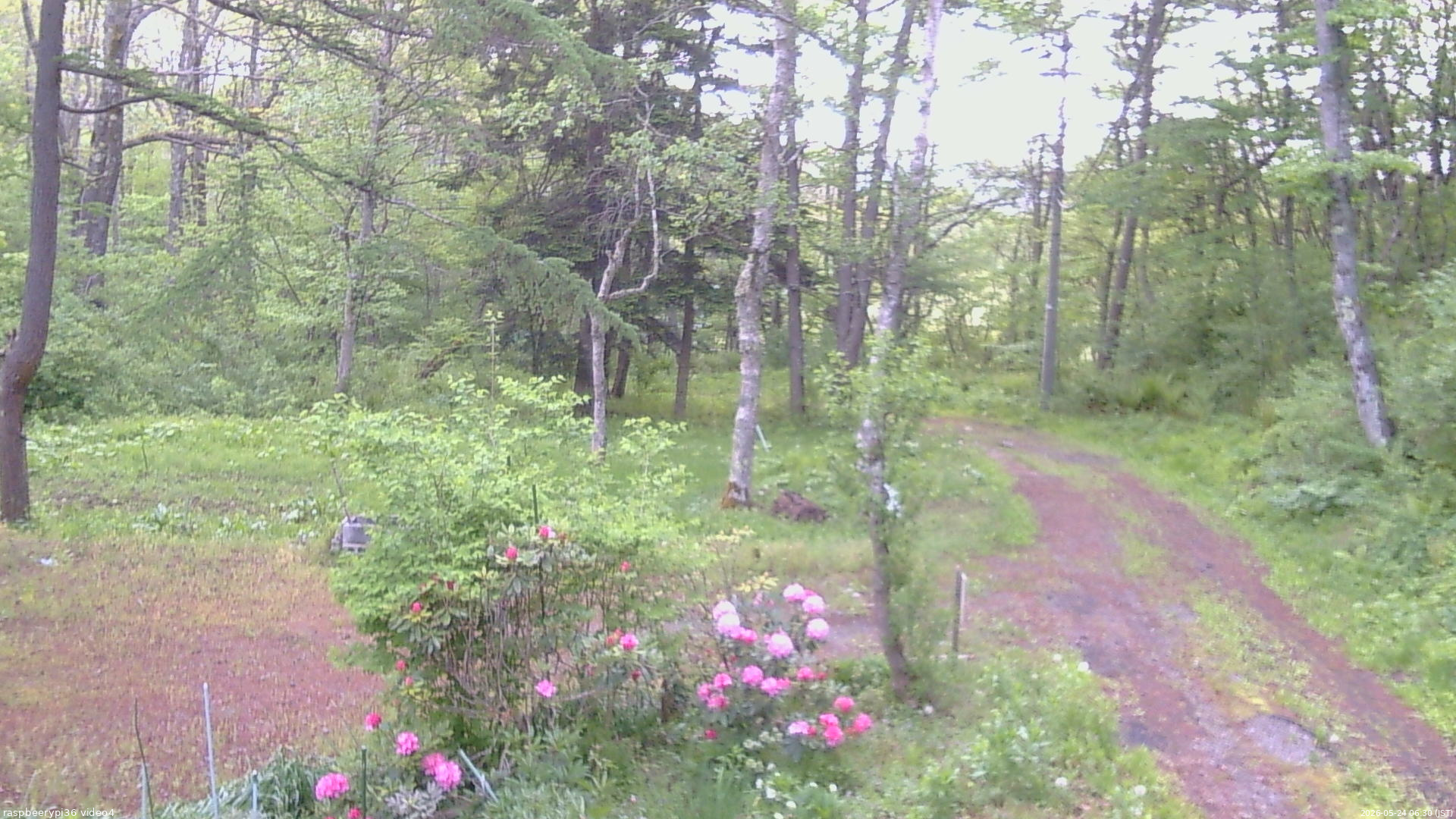 長野県菅平高原 ゆたか山荘 坂上 2026/05/24 06:30