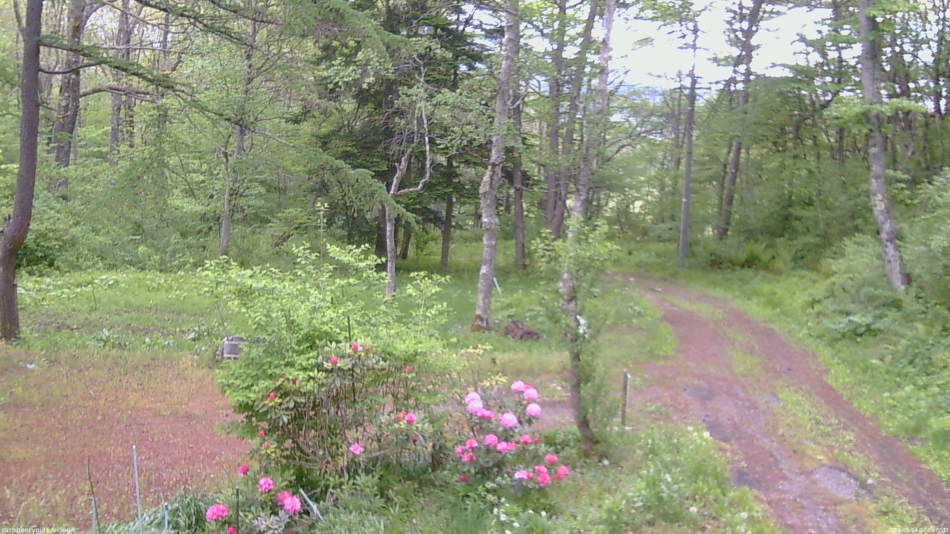 長野県菅平高原 ゆたか山荘 坂上 2026/05/24 07:00