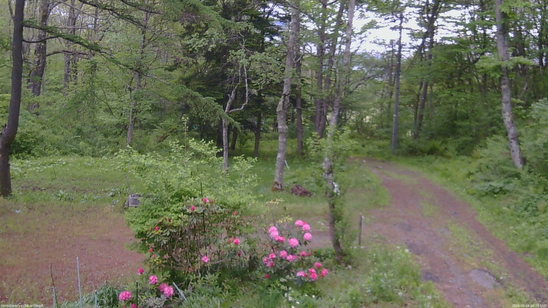 長野県菅平高原 ゆたか山荘 坂上 2026/05/24 08:15