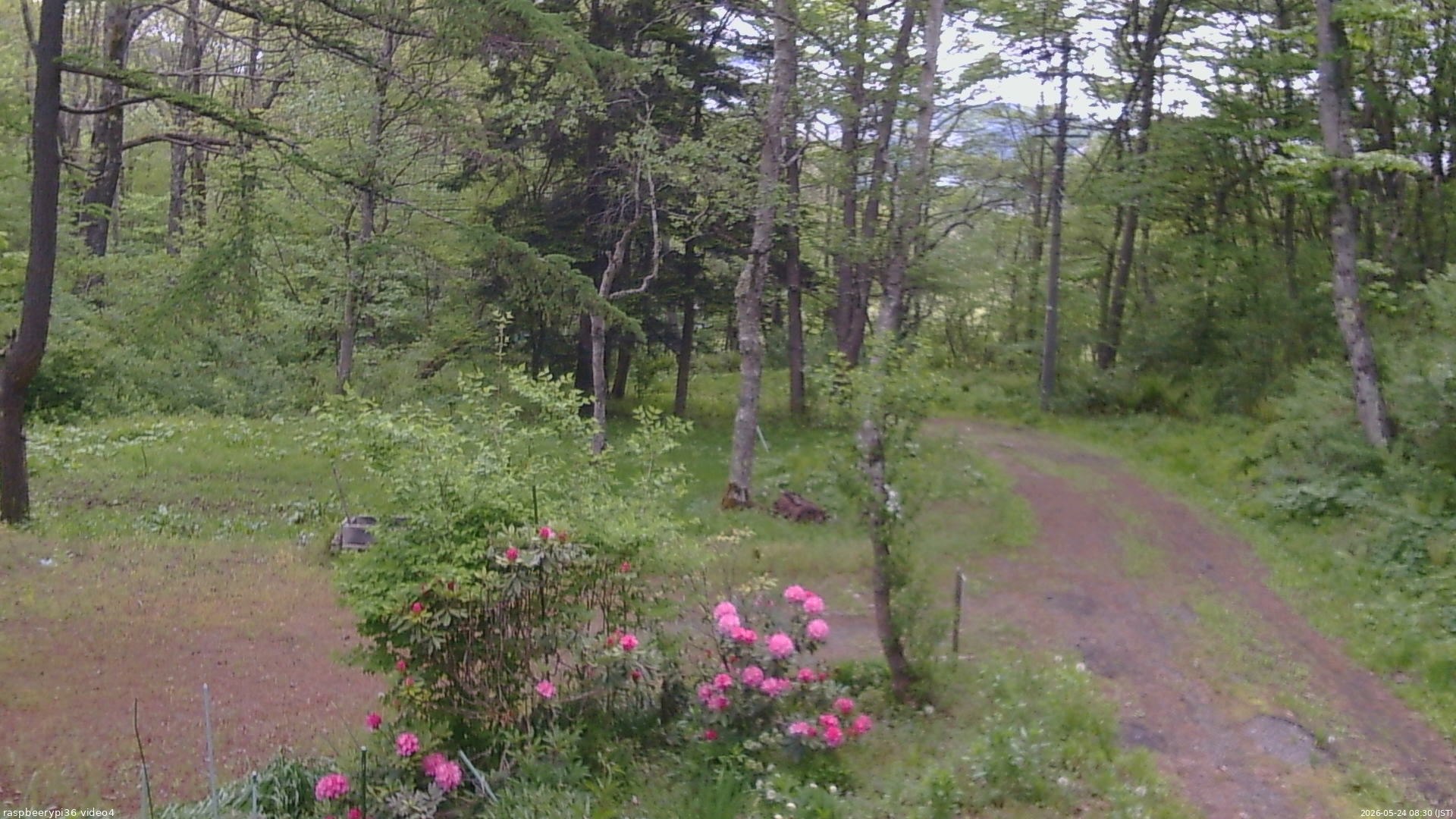 長野県菅平高原 ゆたか山荘 坂上 2026/05/24 08:30