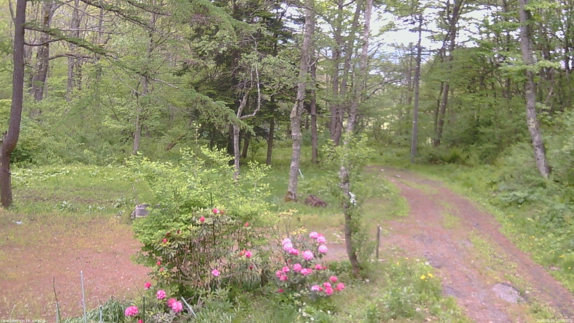 長野県菅平高原 ゆたか山荘 坂上 2026/05/24 10:30