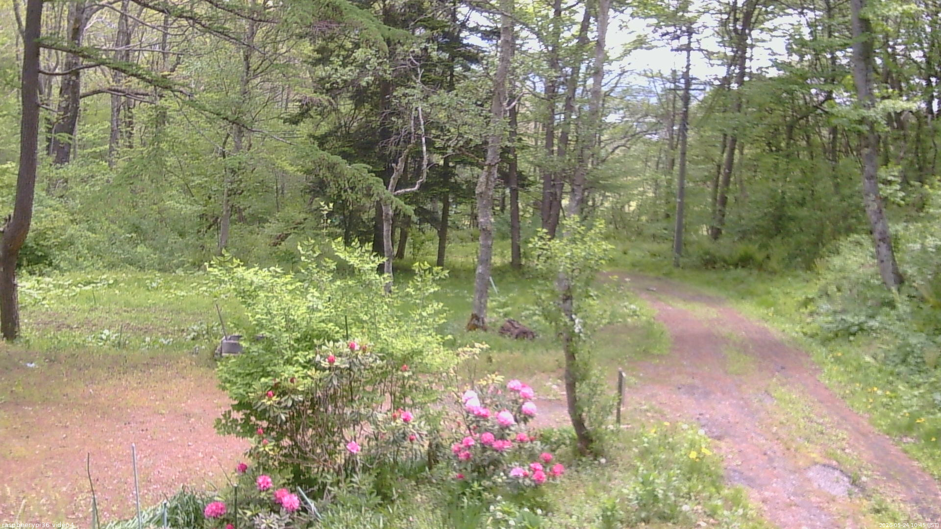 長野県菅平高原 ゆたか山荘 坂上 2026/05/24 10:45