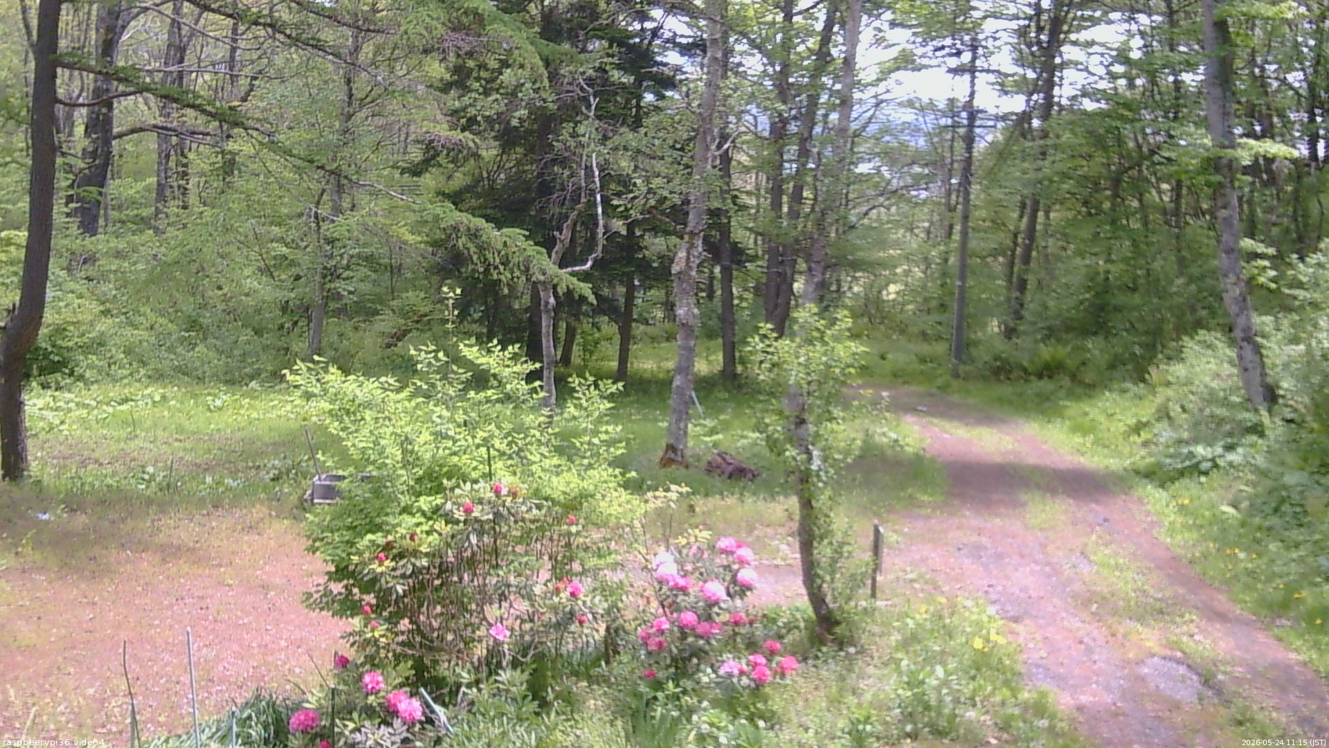長野県菅平高原 ゆたか山荘 坂上 2026/05/24 11:15