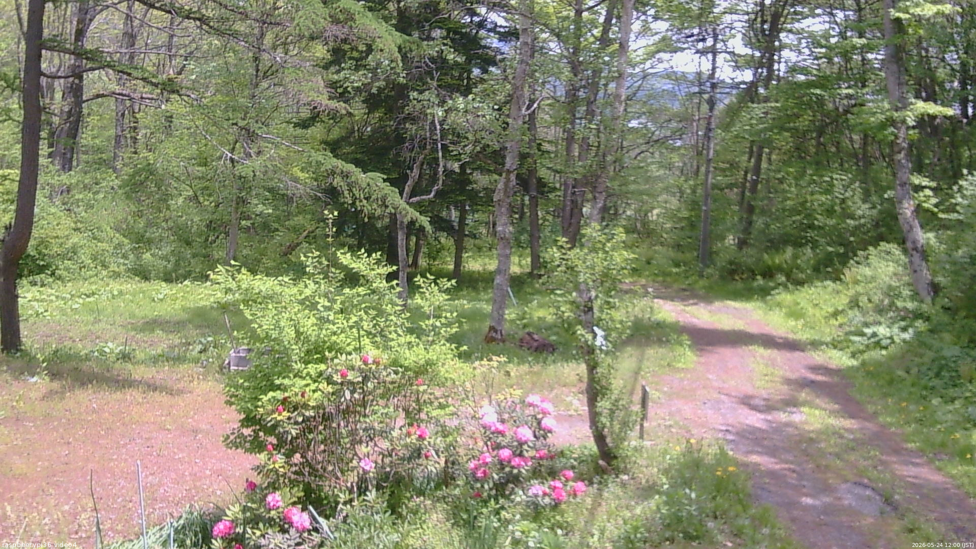 長野県菅平高原 ゆたか山荘 坂上 2026/05/24 12:00