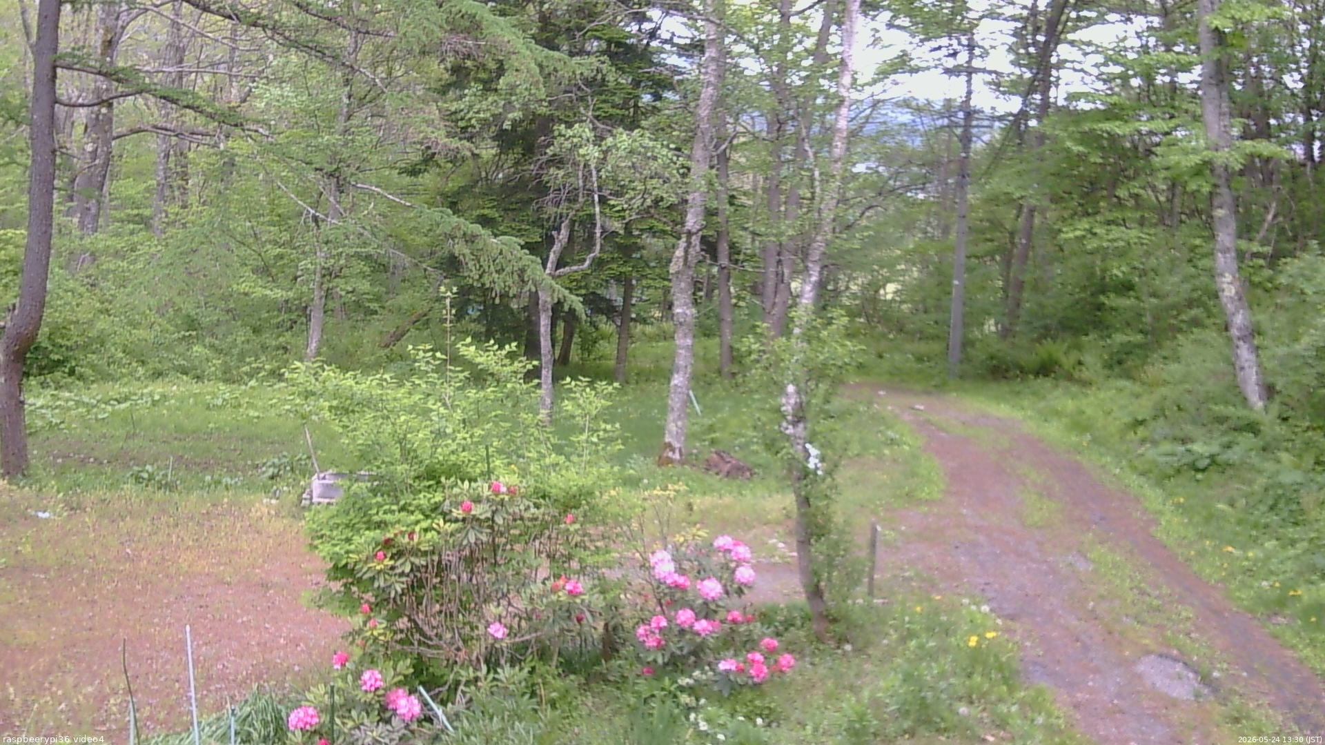 長野県菅平高原 ゆたか山荘 坂上 2026/05/24 13:30