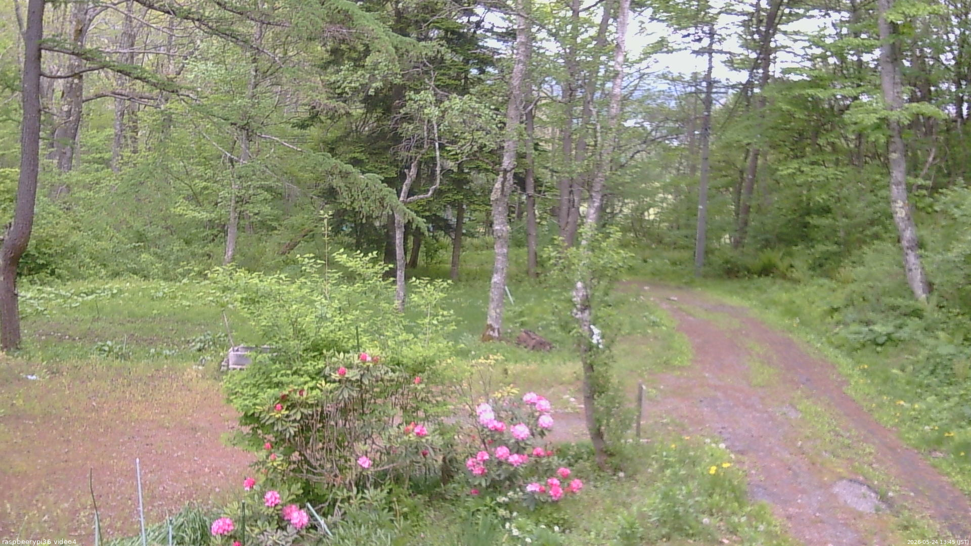 長野県菅平高原 ゆたか山荘 坂上 2026/05/24 13:45