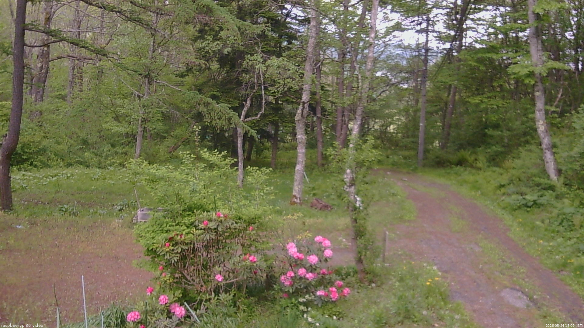 長野県菅平高原 ゆたか山荘 坂上 2026/05/24 15:00