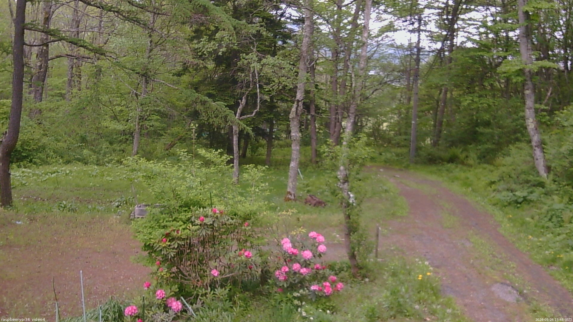 長野県菅平高原 ゆたか山荘 坂上 2026/05/24 15:45
