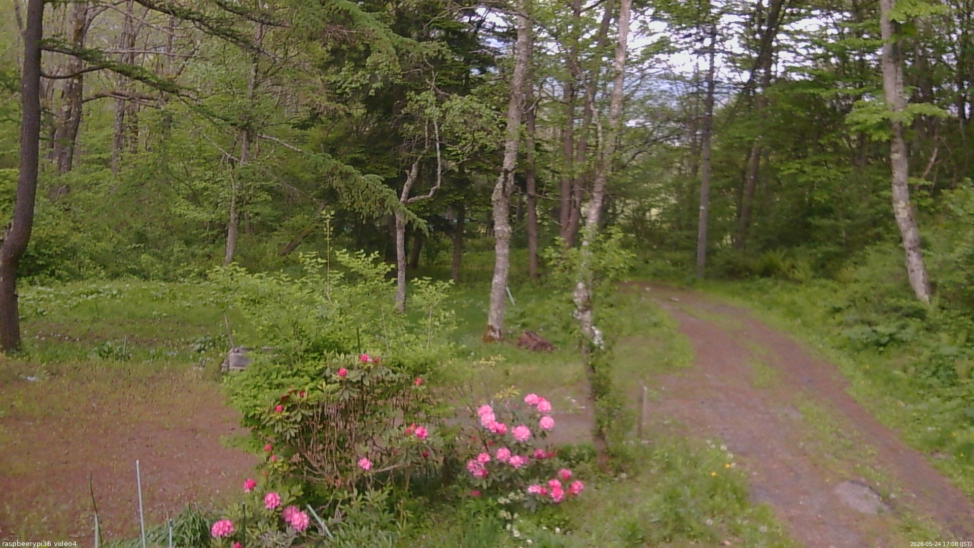 長野県菅平高原 ゆたか山荘 坂上 2026/05/24 17:00