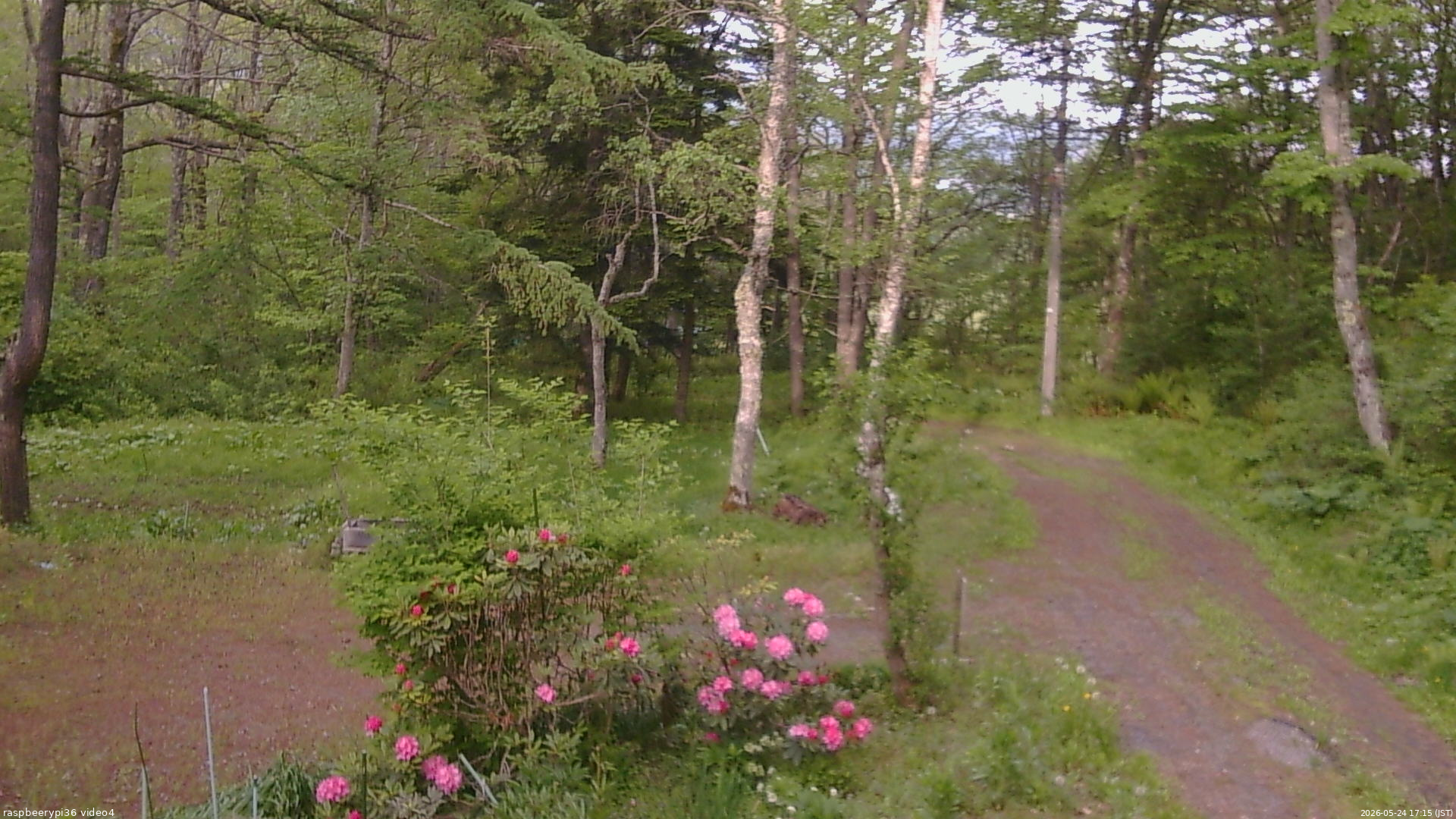 長野県菅平高原 ゆたか山荘 坂上 2026/05/24 17:15