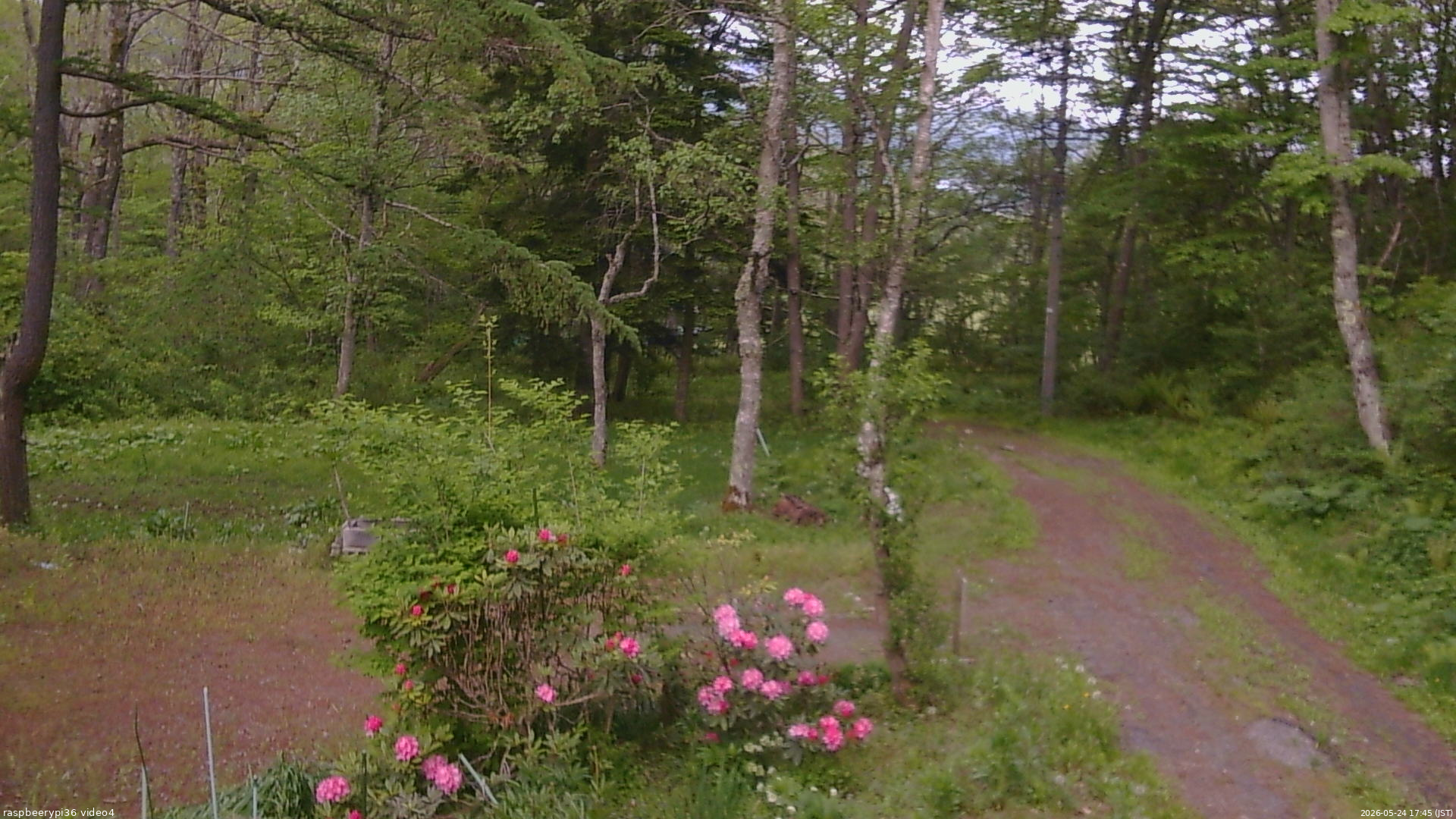 長野県菅平高原 ゆたか山荘 坂上 2026/05/24 17:45