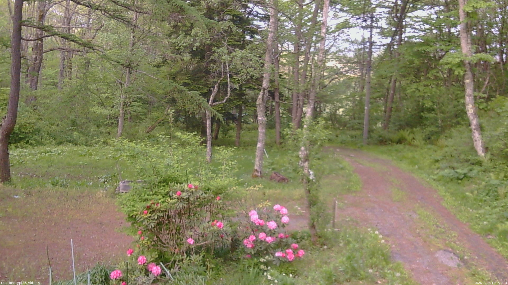 長野県菅平高原 ゆたか山荘 坂上 2026/05/24 18:15