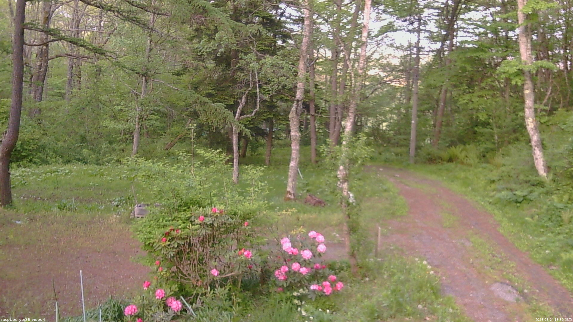 長野県菅平高原 ゆたか山荘 坂上 2026/05/24 18:30