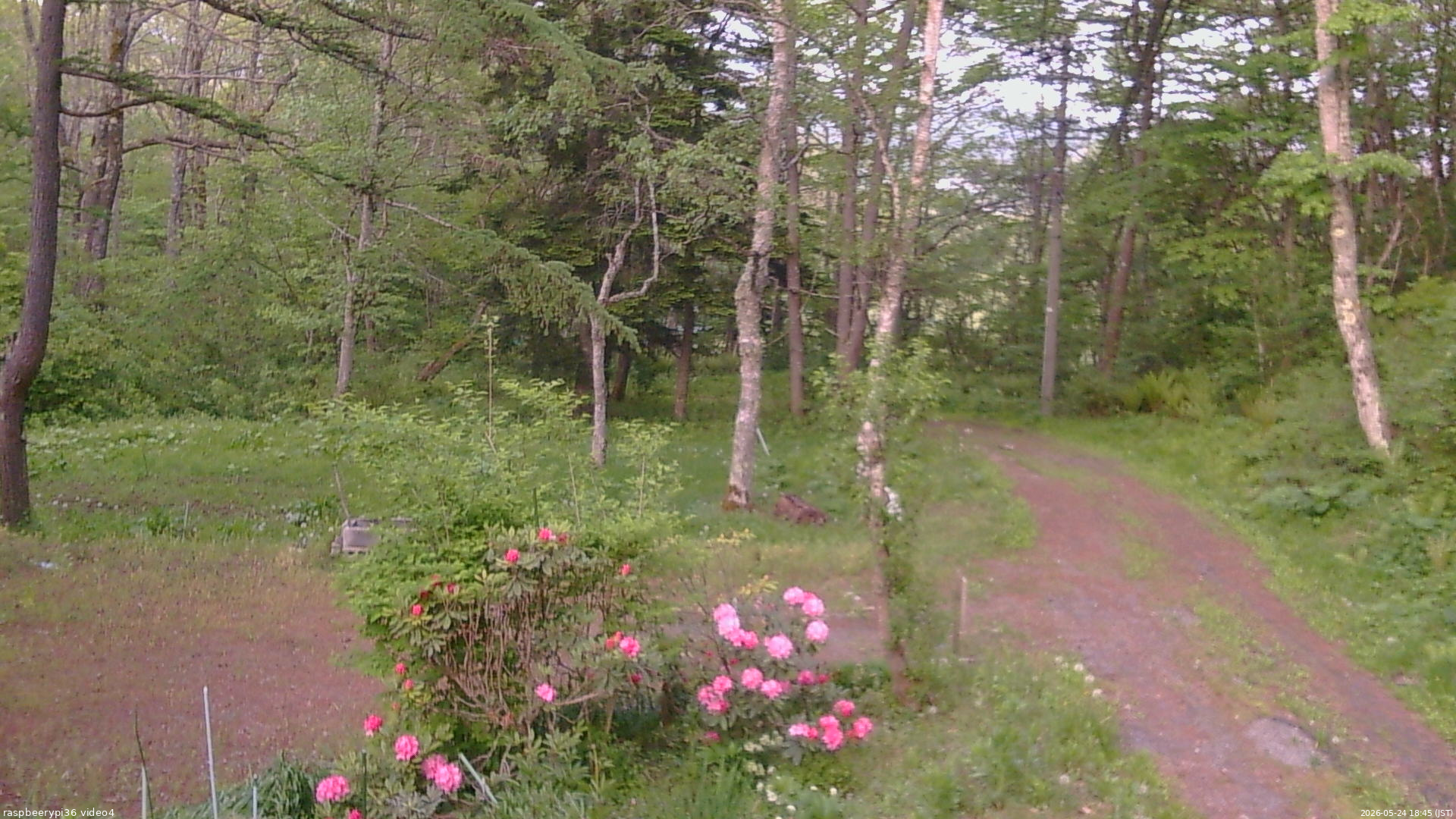 長野県菅平高原 ゆたか山荘 坂上 2026/05/24 18:45