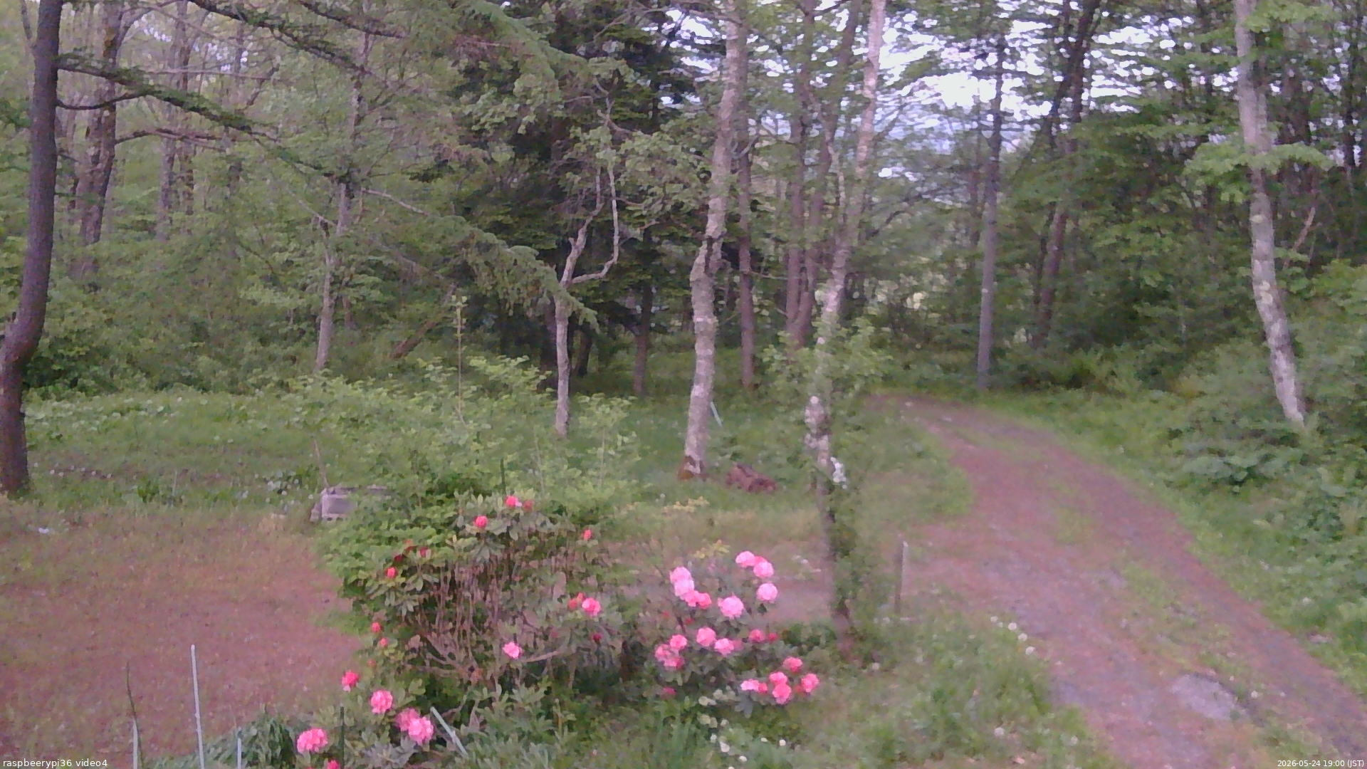 長野県菅平高原 ゆたか山荘 坂上 2026/05/24 19:00