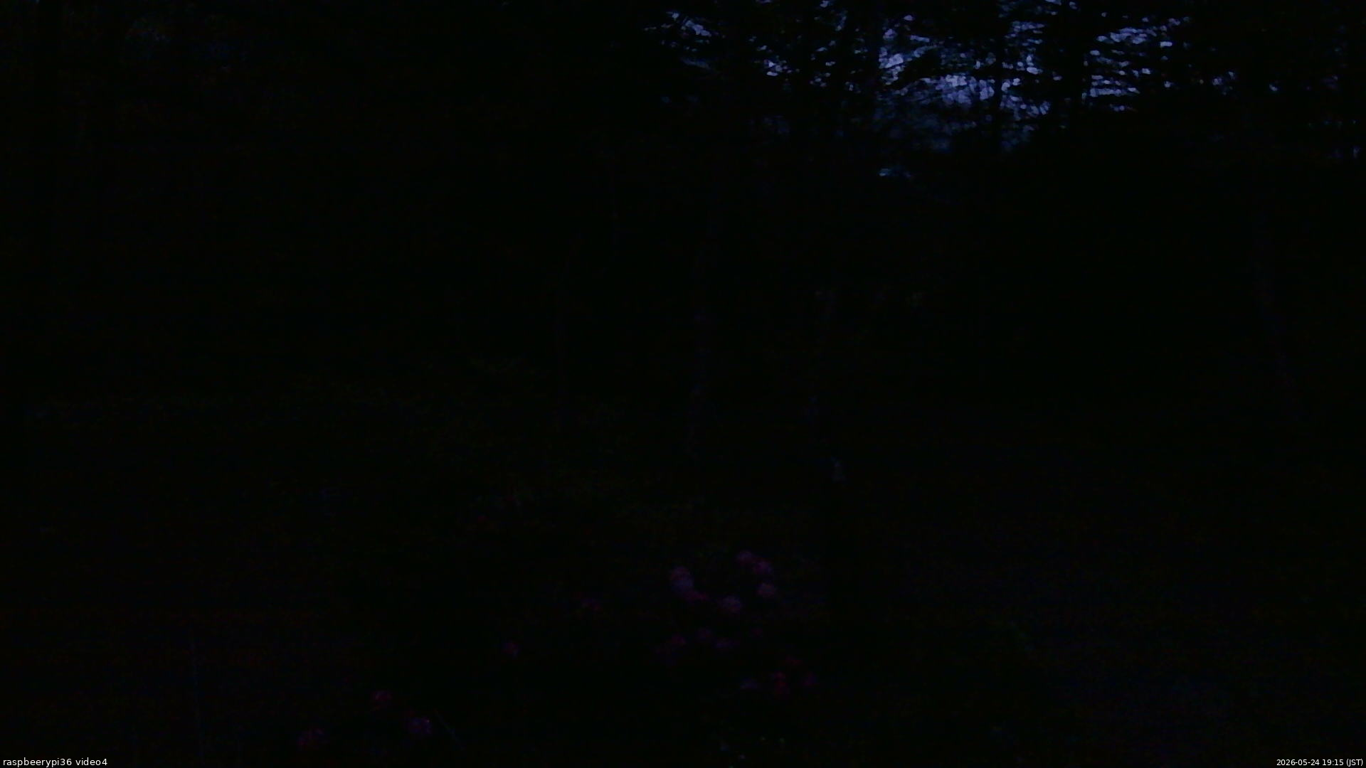 長野県菅平高原 ゆたか山荘 坂上 2026/05/24 19:15
