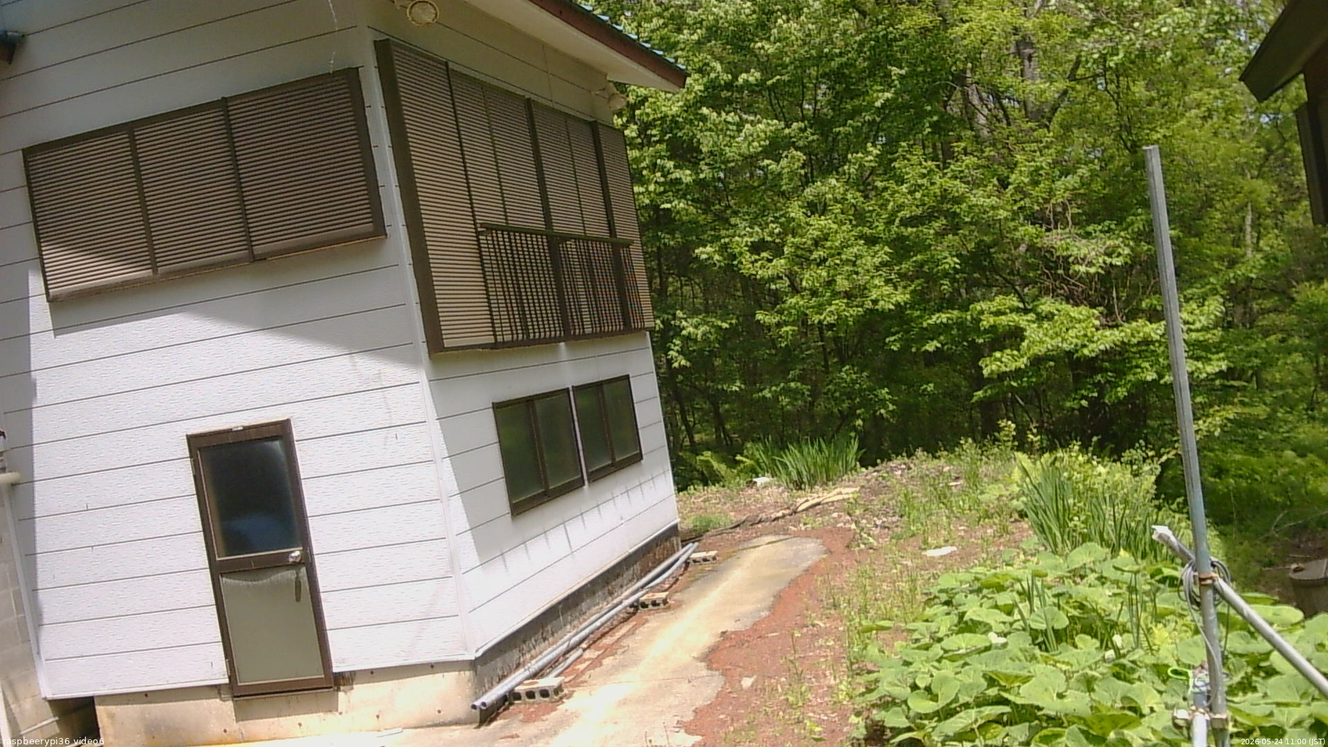 長野県菅平高原 ゆたか山荘 坂下 2026/05/24 11:00