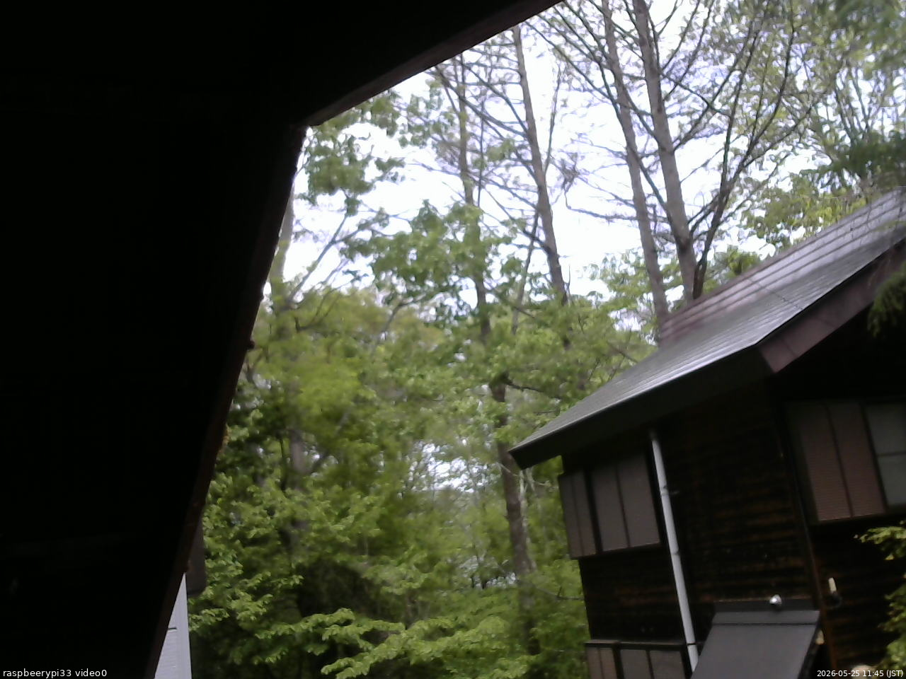 長野県菅平高原 ゆたか山荘 北側 2026/05/25 11:45