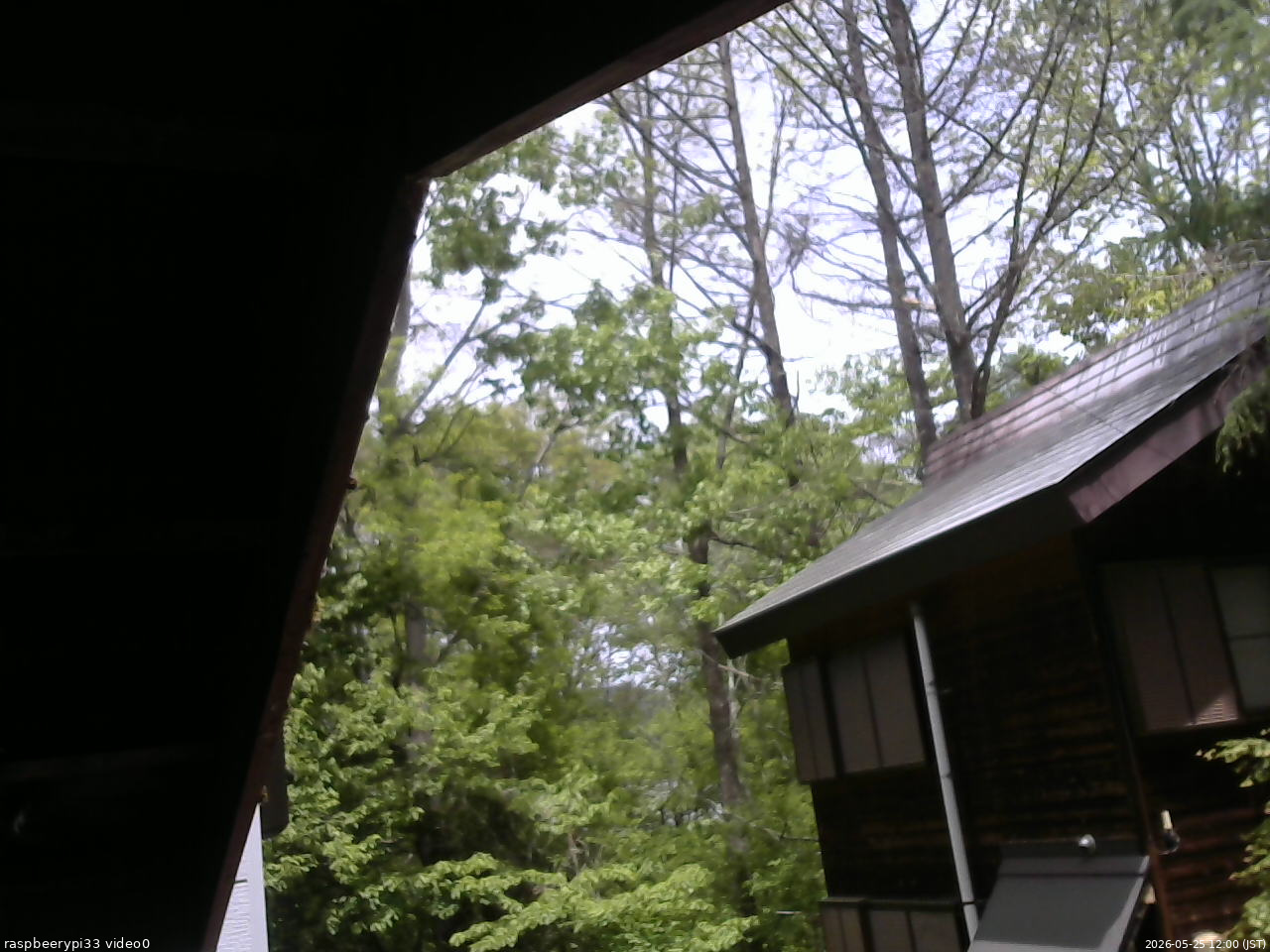 長野県菅平高原 ゆたか山荘 北側 2026/05/25 12:00