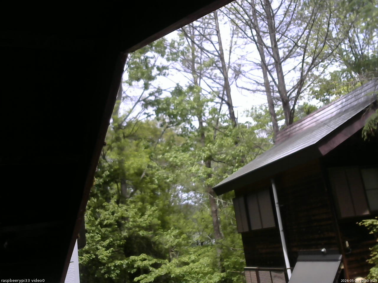 長野県菅平高原 ゆたか山荘 北側 2026/05/25 12:30