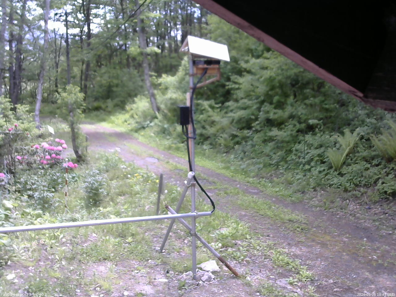 長野県菅平高原 ゆたか山荘 南側 2026/05/25 10:45