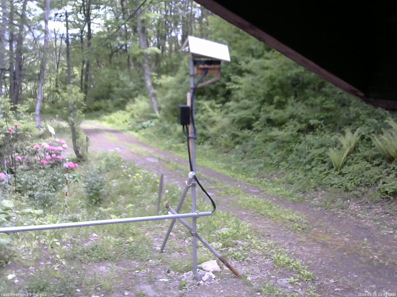 長野県菅平高原 ゆたか山荘 南側 2026/05/25 11:45