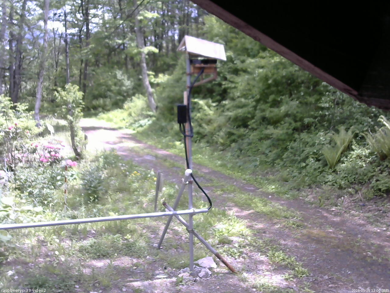 長野県菅平高原 ゆたか山荘 南側 2026/05/25 12:00